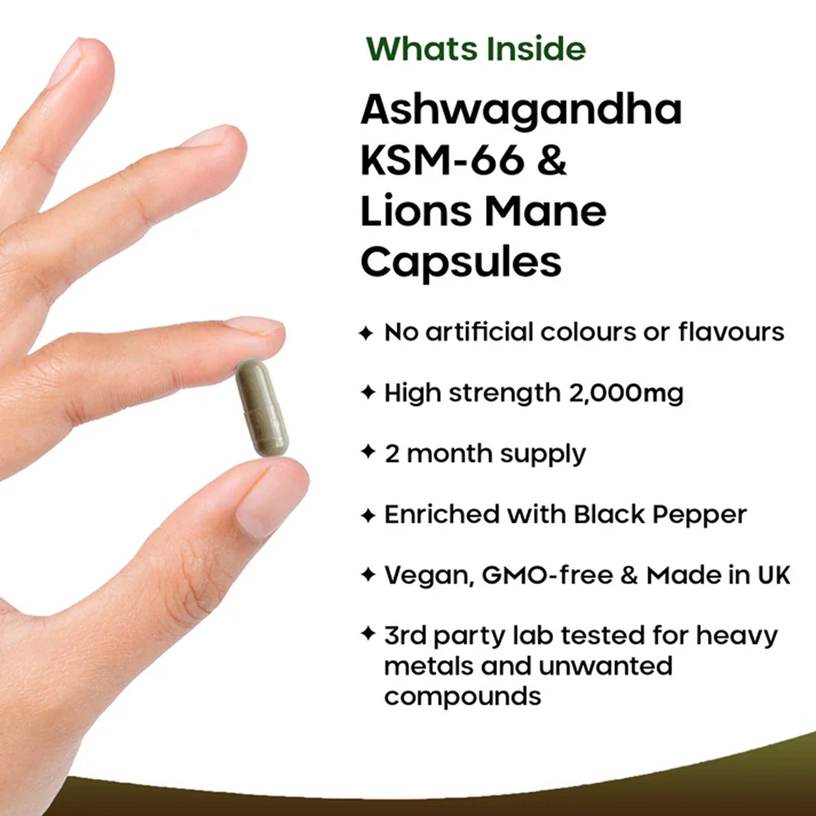 Ashwagandha KSM-66 & Lions Mane