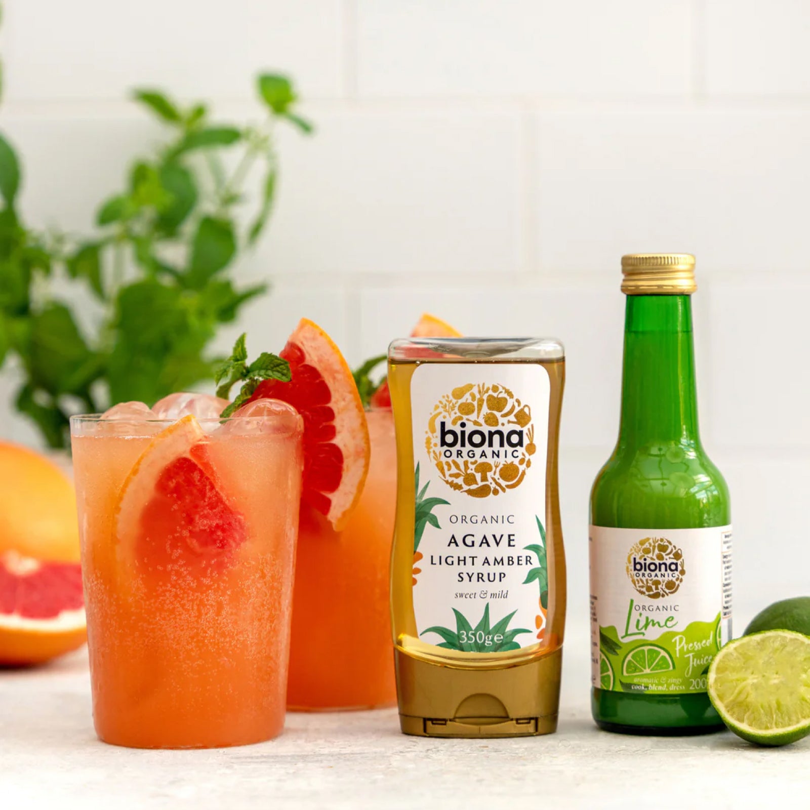 Biona Organic Agave Light Syrup