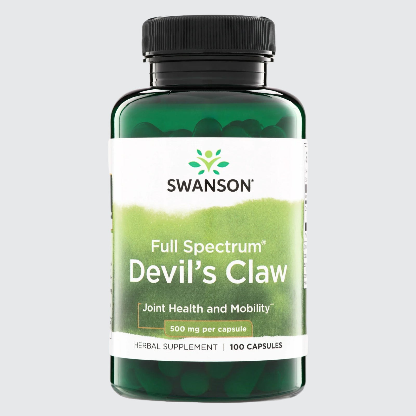Devil's Claw - Joint Health and Mobility 500mg