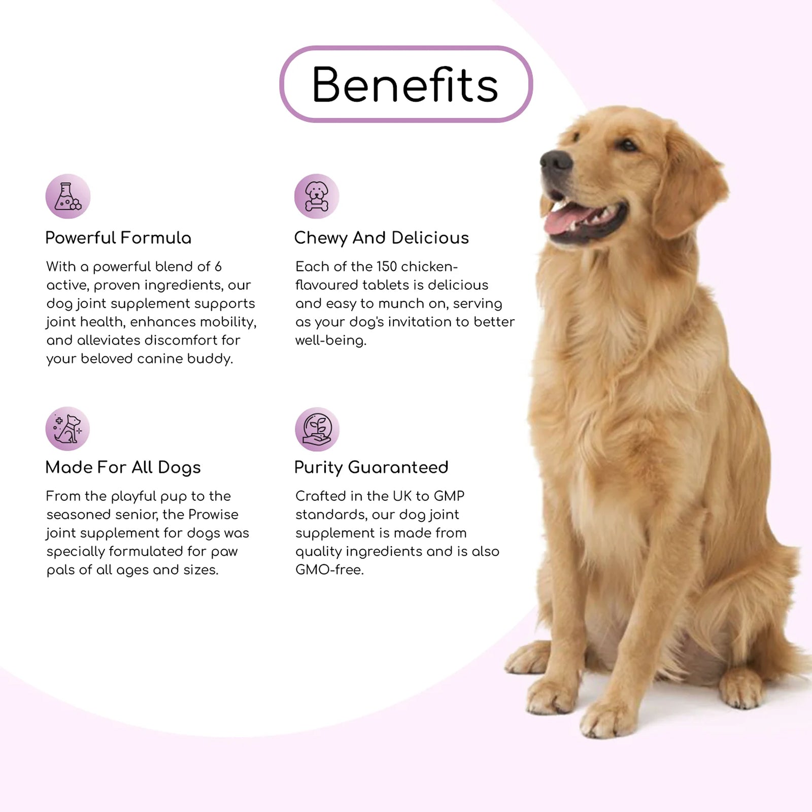 Dog Joint Support Complex Formula Expertly Formulated I 150 Chicken Flavor Chewable Tablets