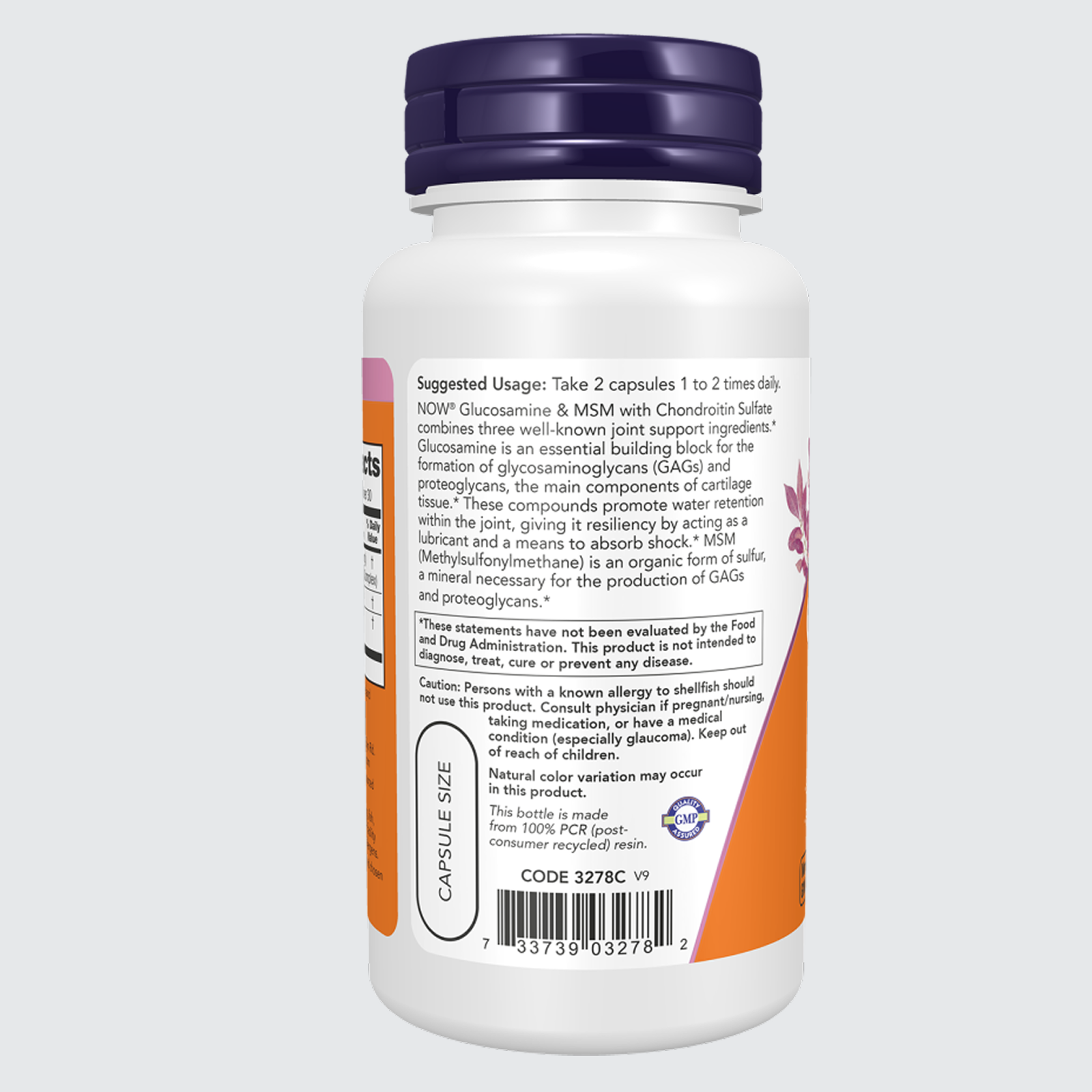 Glucosamine & MSM Vegetarian