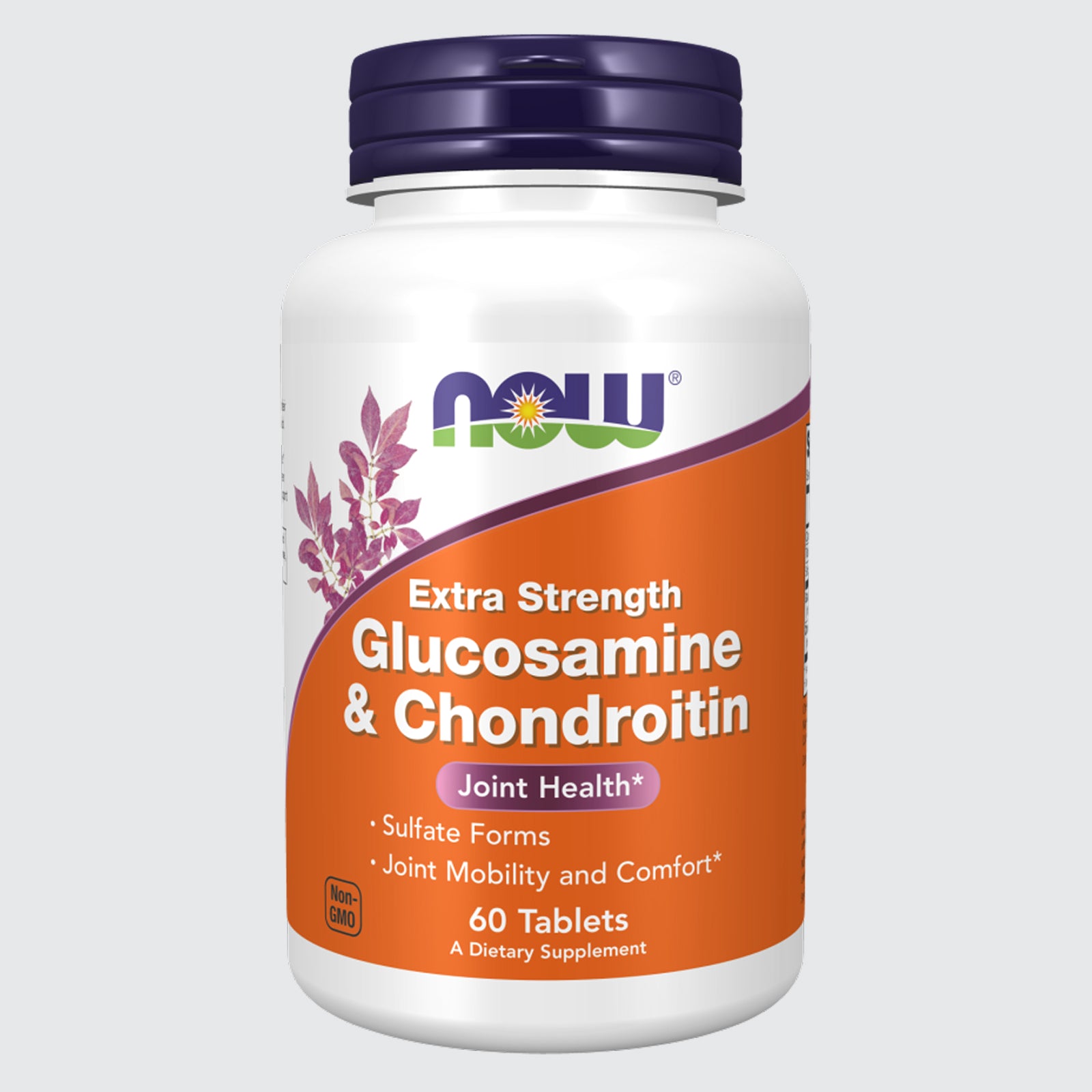 Glucosamine & Chondroitin Extra Strength Joint Health