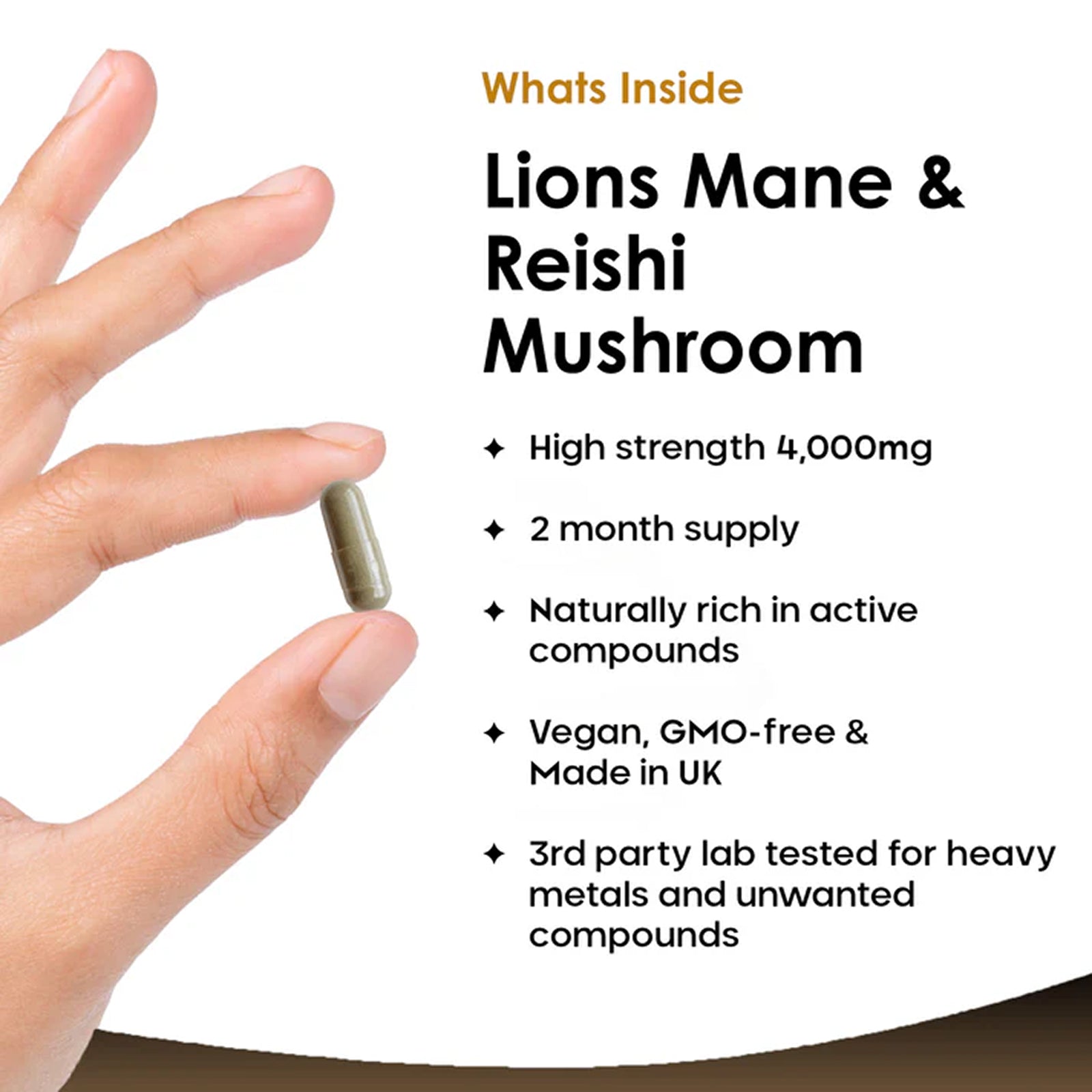 Lions Mane & Reishi Mushroom 4000mg