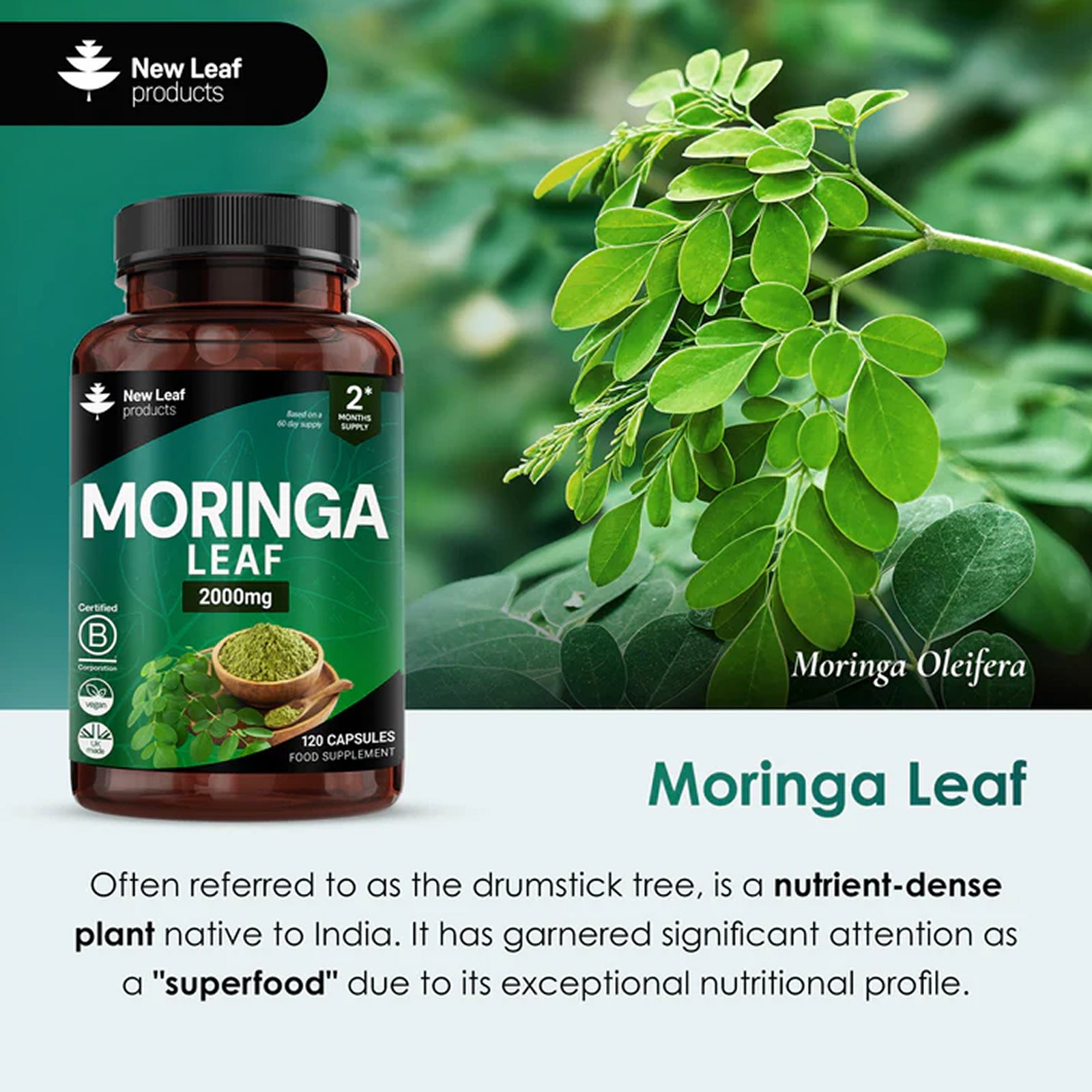 Moringa Leaf Capsules - Pure Extract & Powder 2000mg