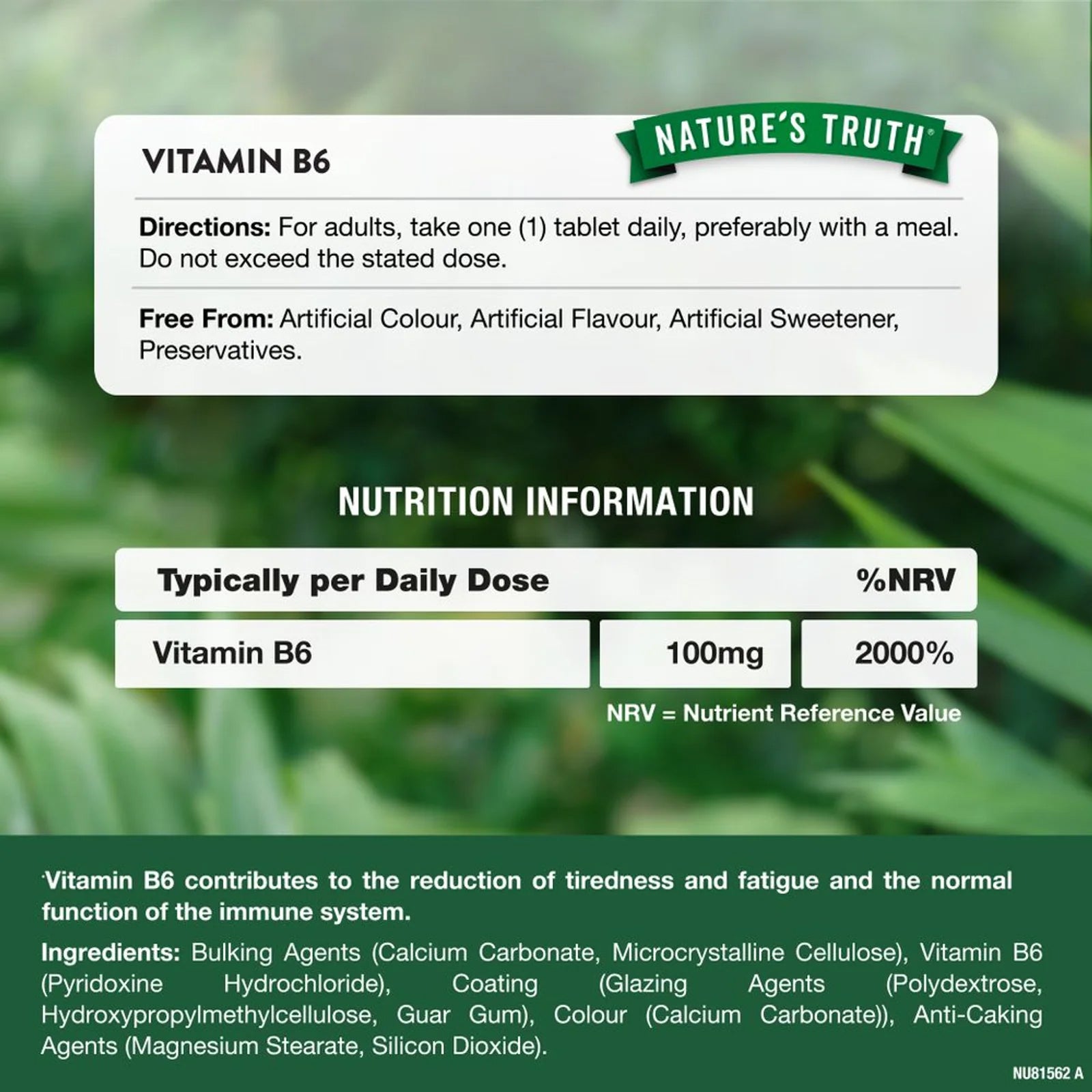 Natures Truth Vitamin B6 Vegan