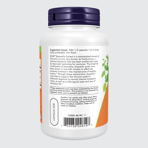 Boswellia Extract 250 mg