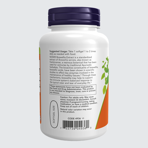 Boswellia Extract 500 mg
