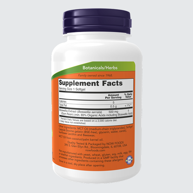 Boswellia Extract 500 mg