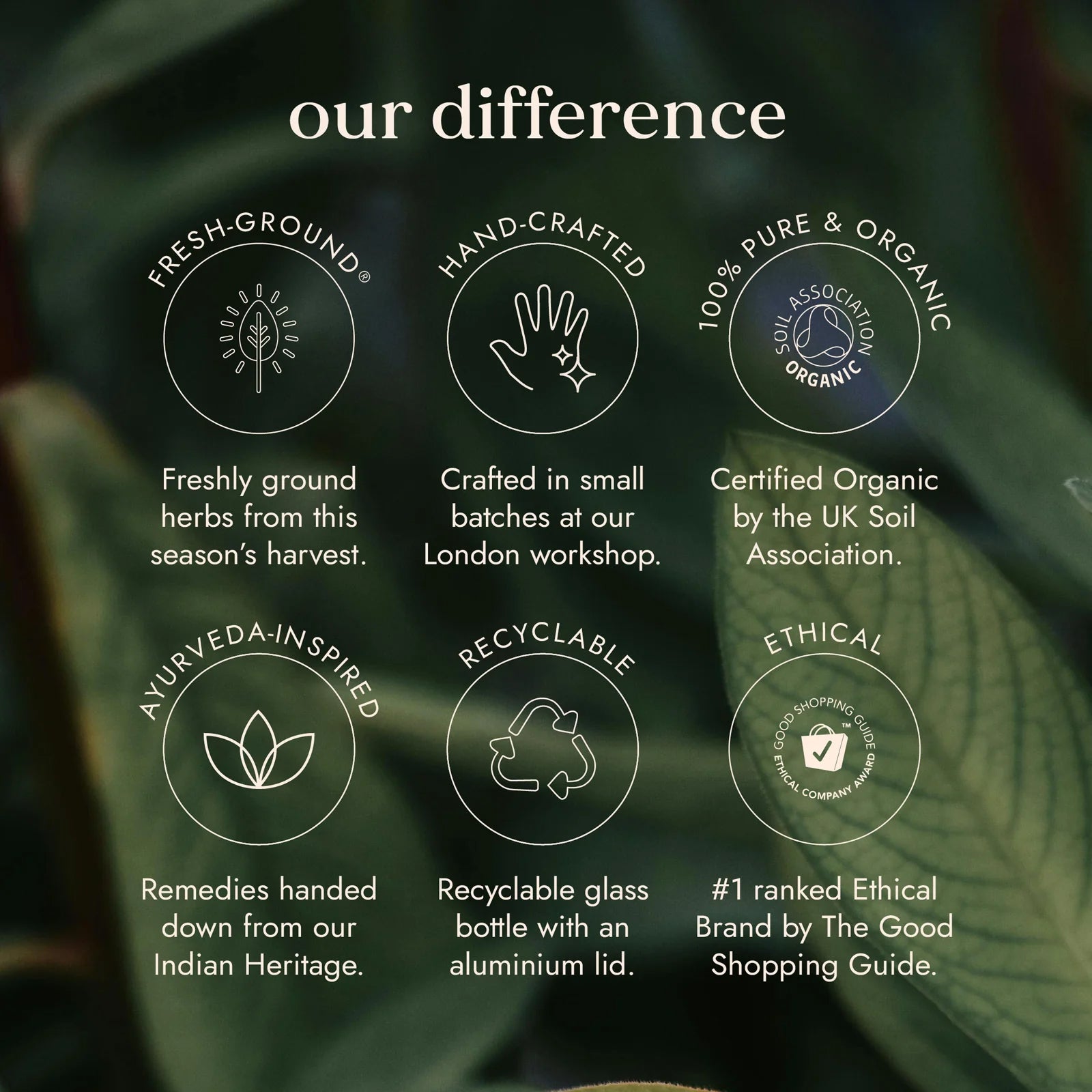 Organic Ayurvedic Amla - Natural Detox