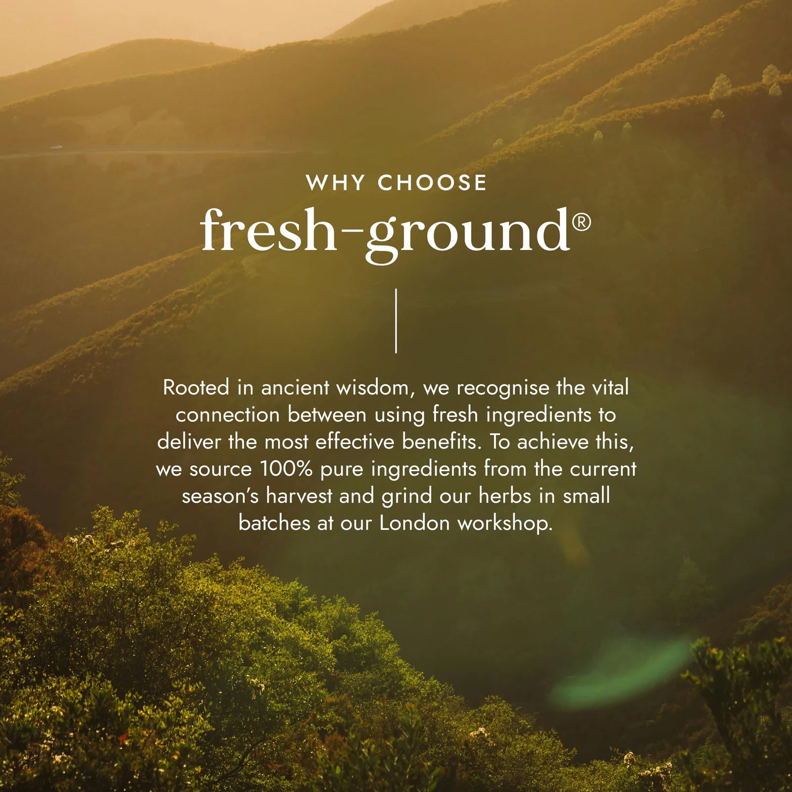 Organic Ayurvedic Guggul