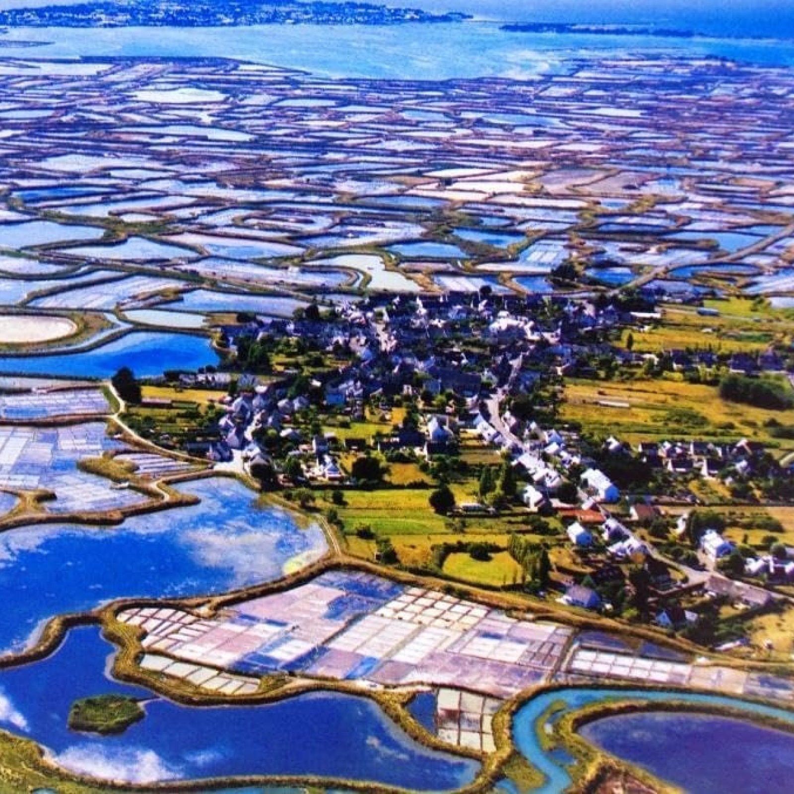 Organic Celtic Sea Salt Coarse