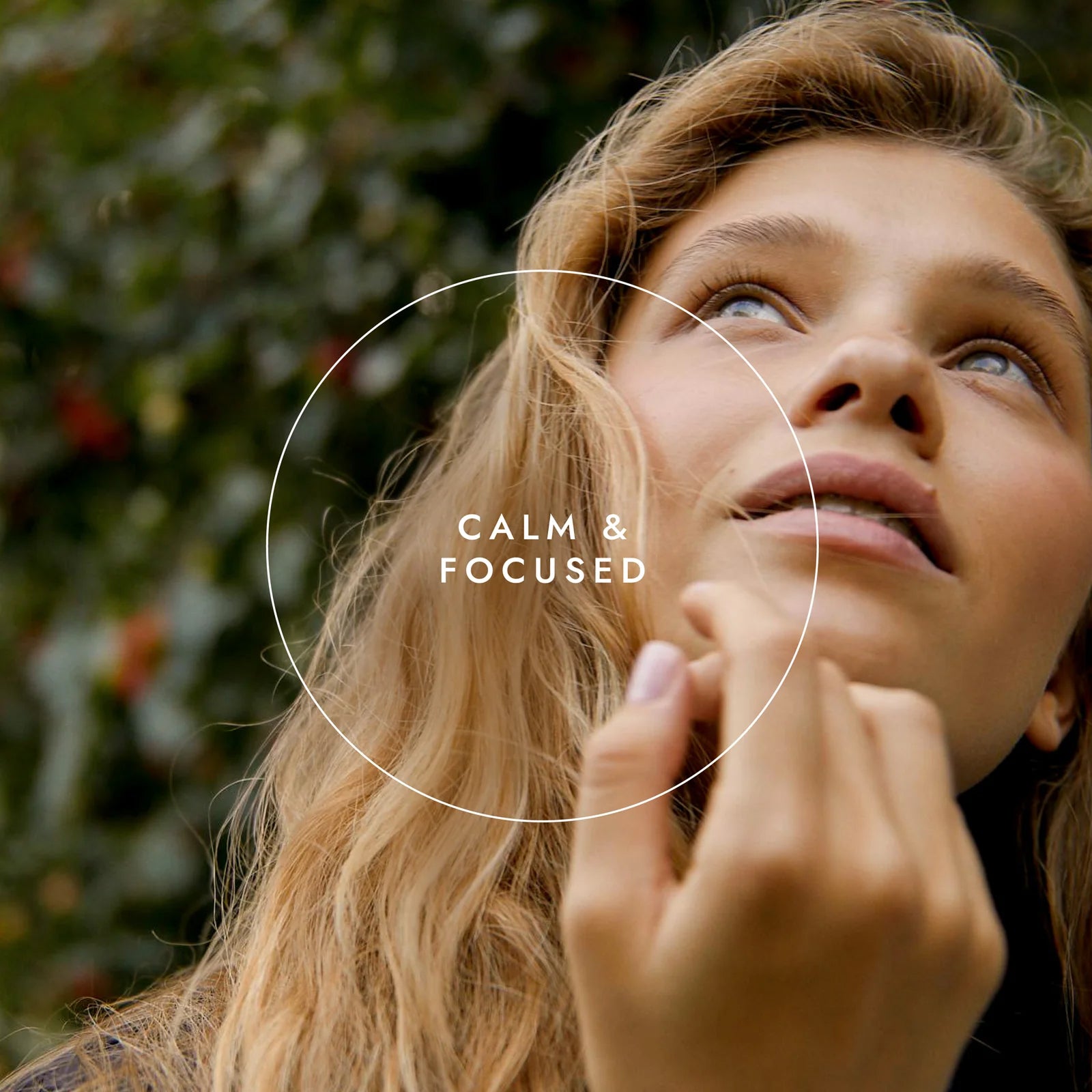 Organic Tulsi - Anti-inflammatory