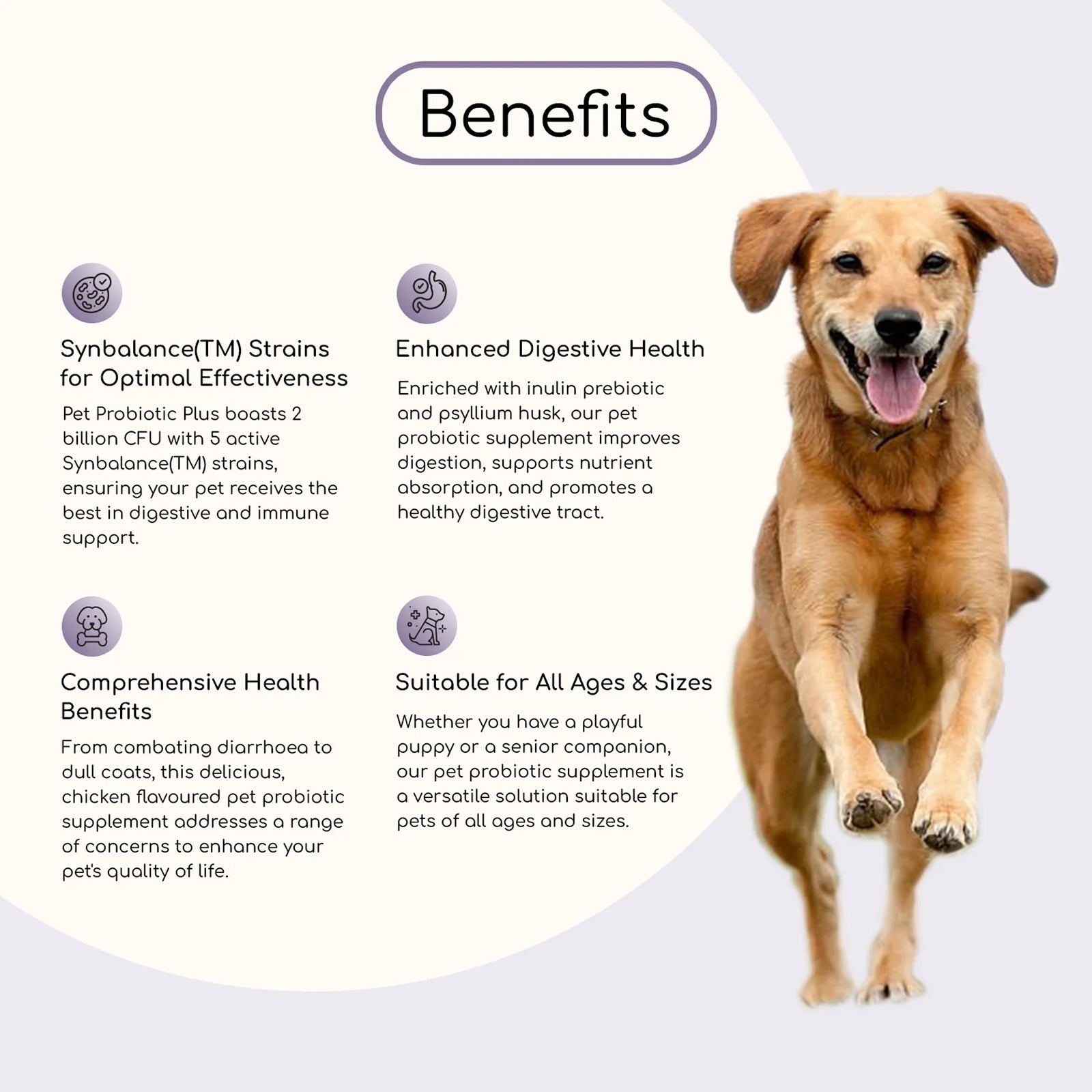 Pet Probiotic Plus Inulin & Psyllium Husk 2 Billion CFU with 5 Active Strains I 60 Chicken