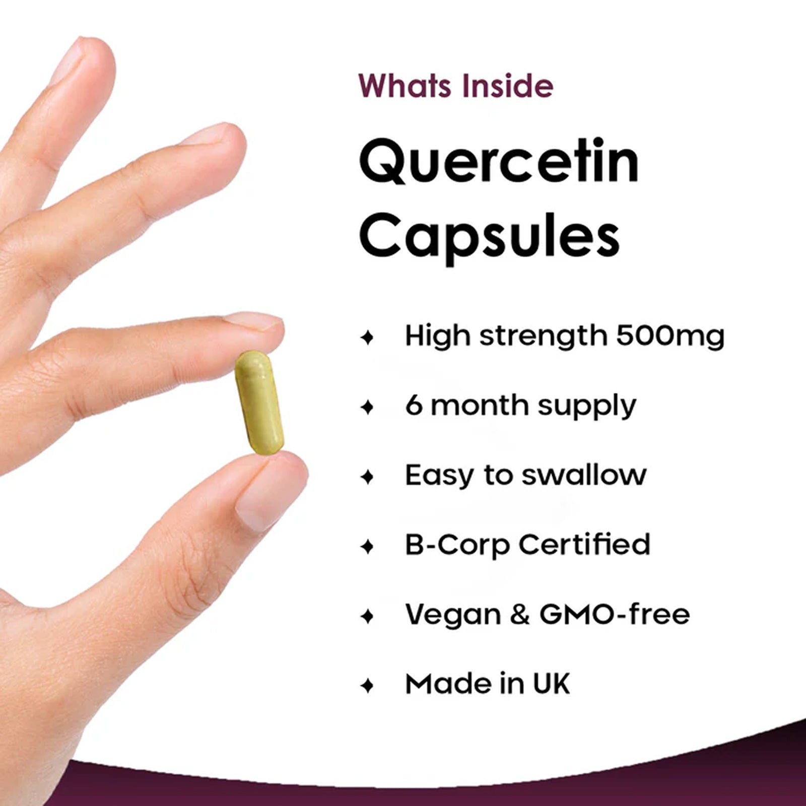 Quercetin Immune Health 500mg