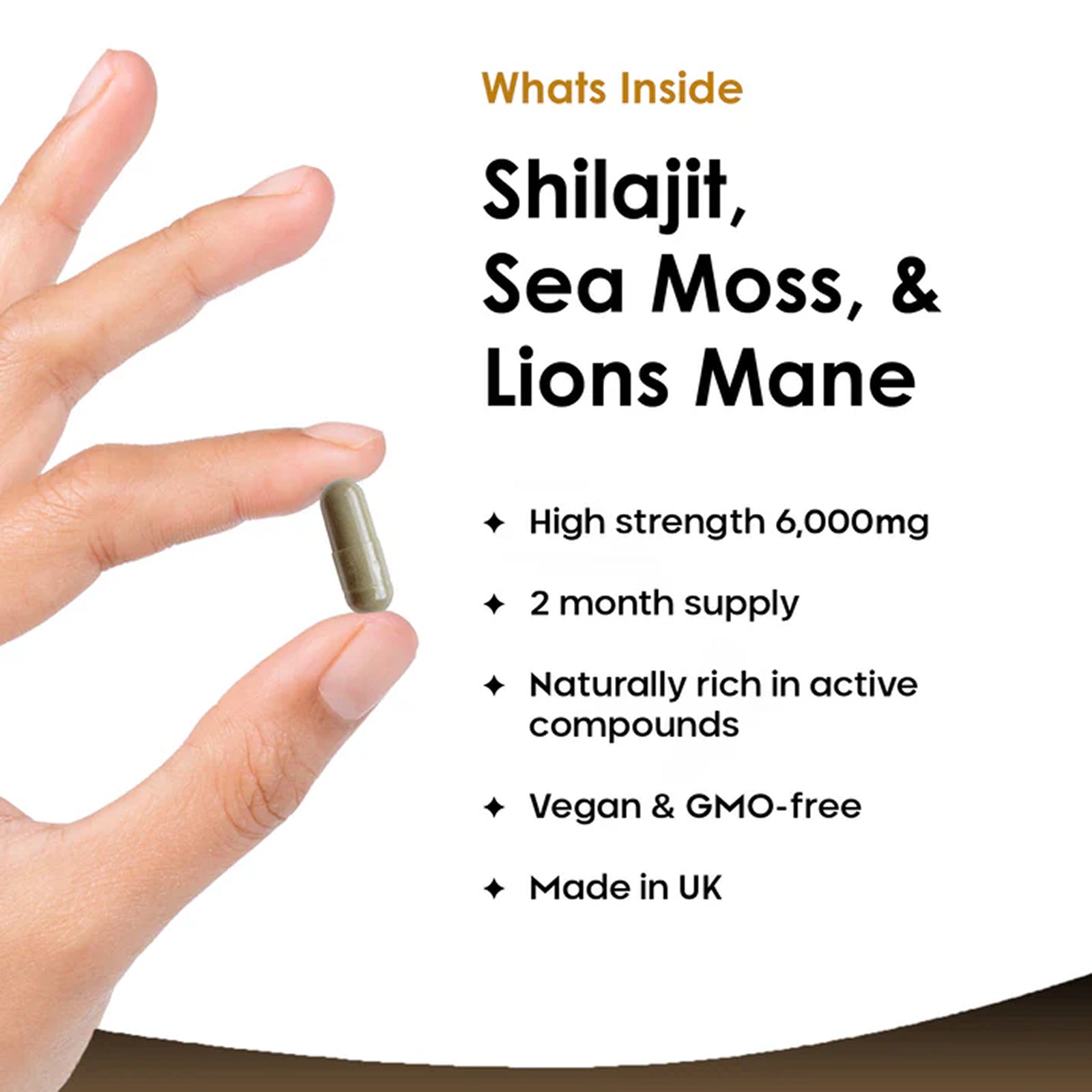 Shilajit Sea Moss & Lions Mane 6000mg Vegan