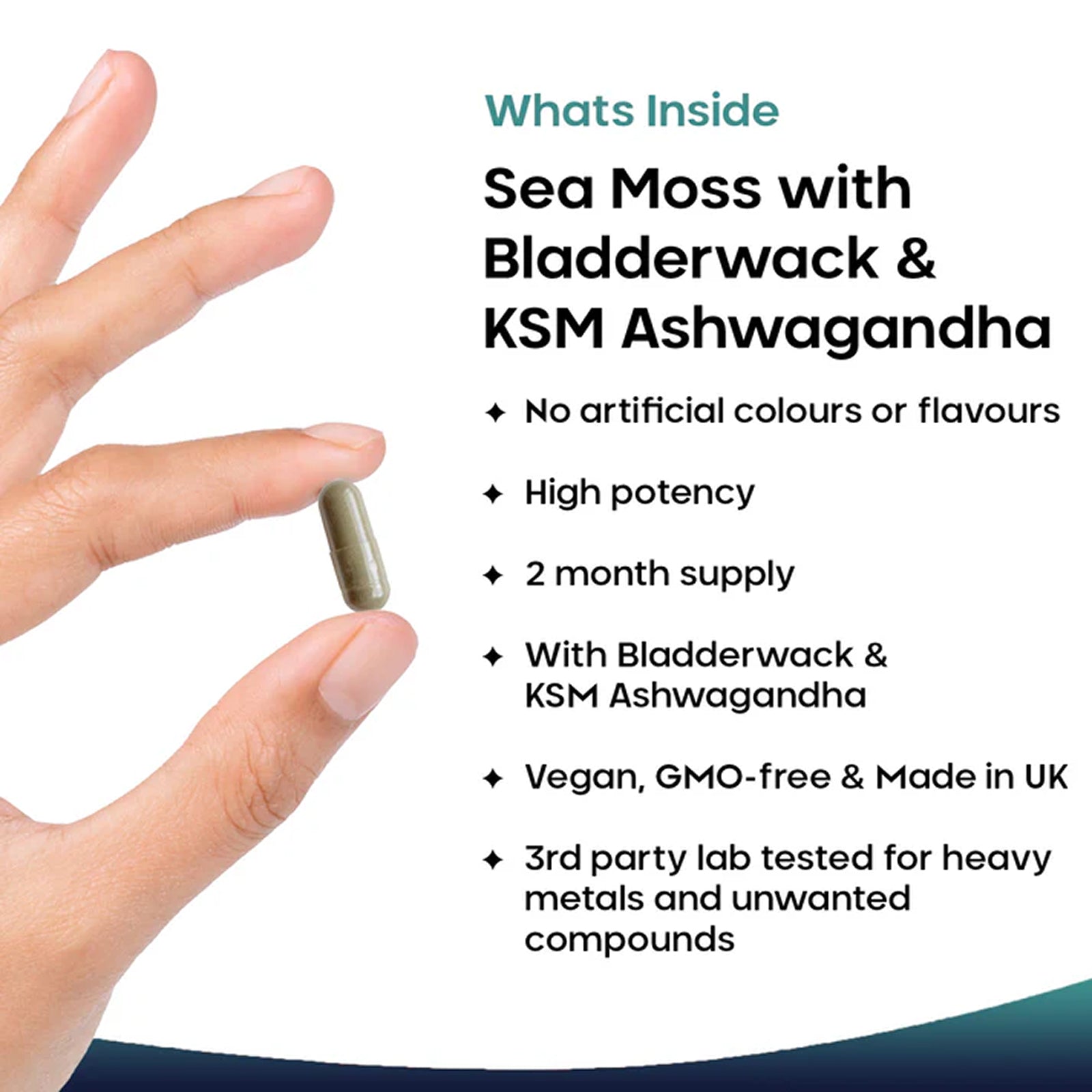 Sea Moss + Bladderwrack & KSM Ashwagandha