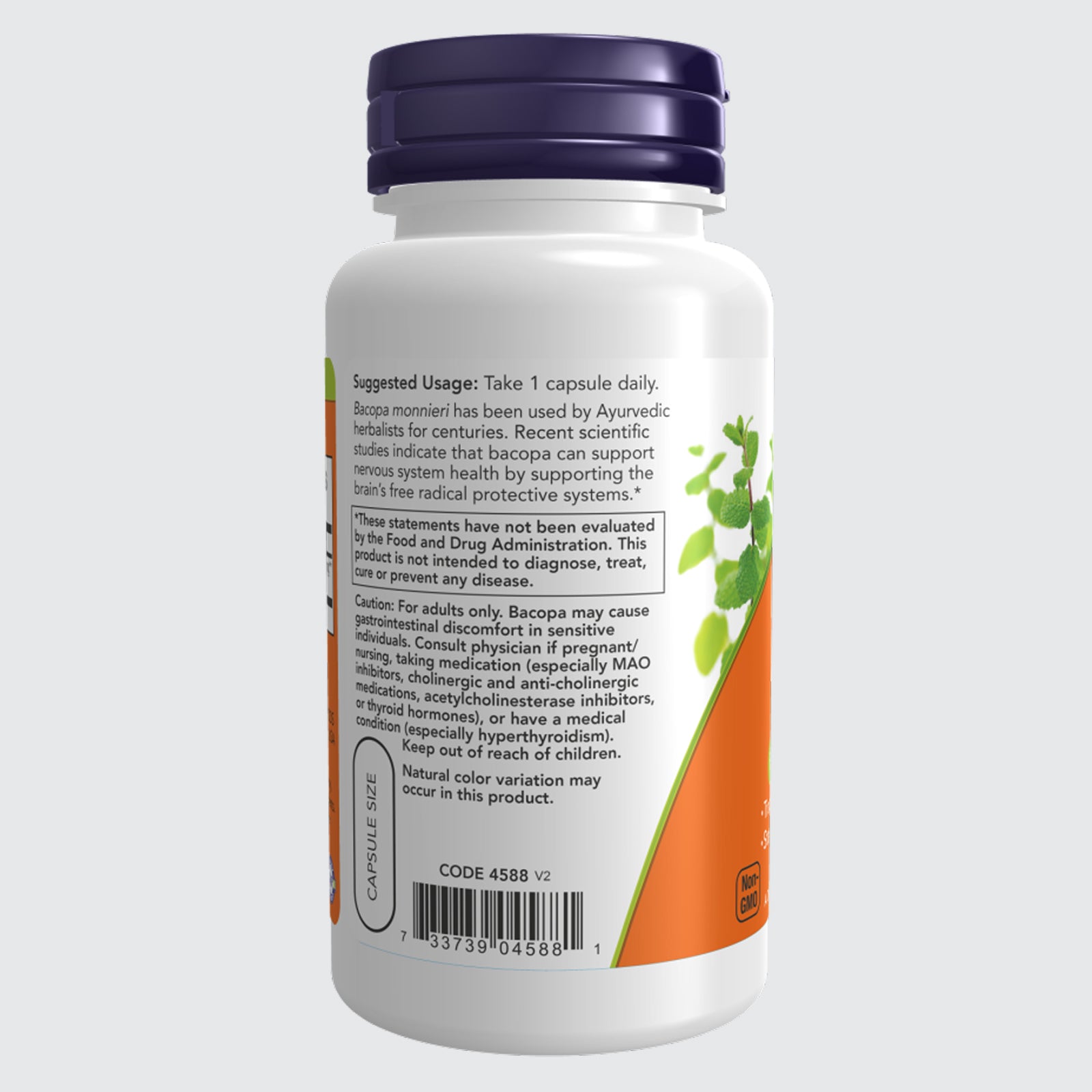 Bacopa Extract 450 mg