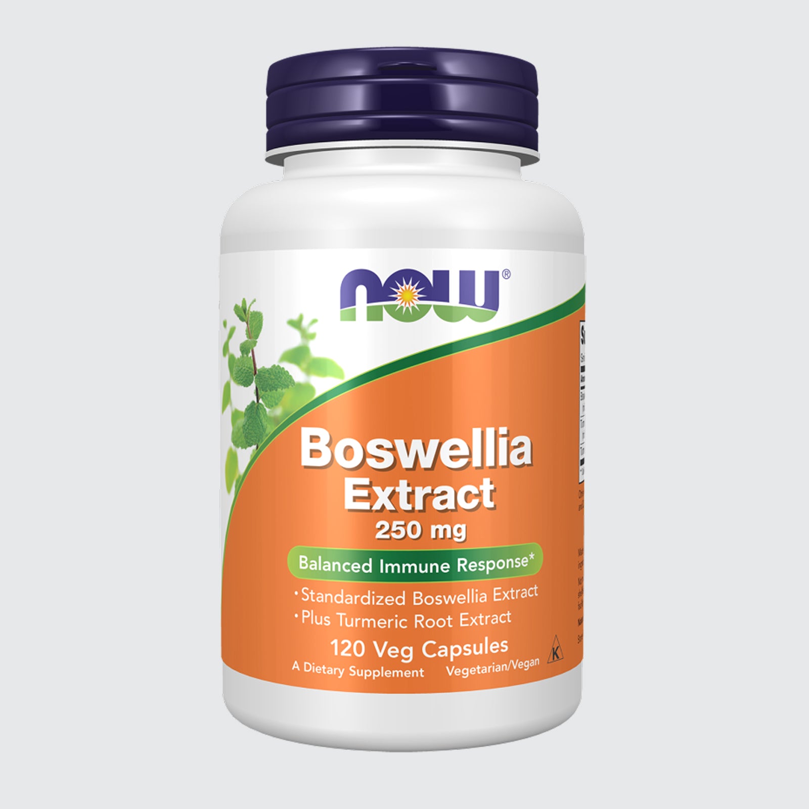 Boswellia Extract 250 mg