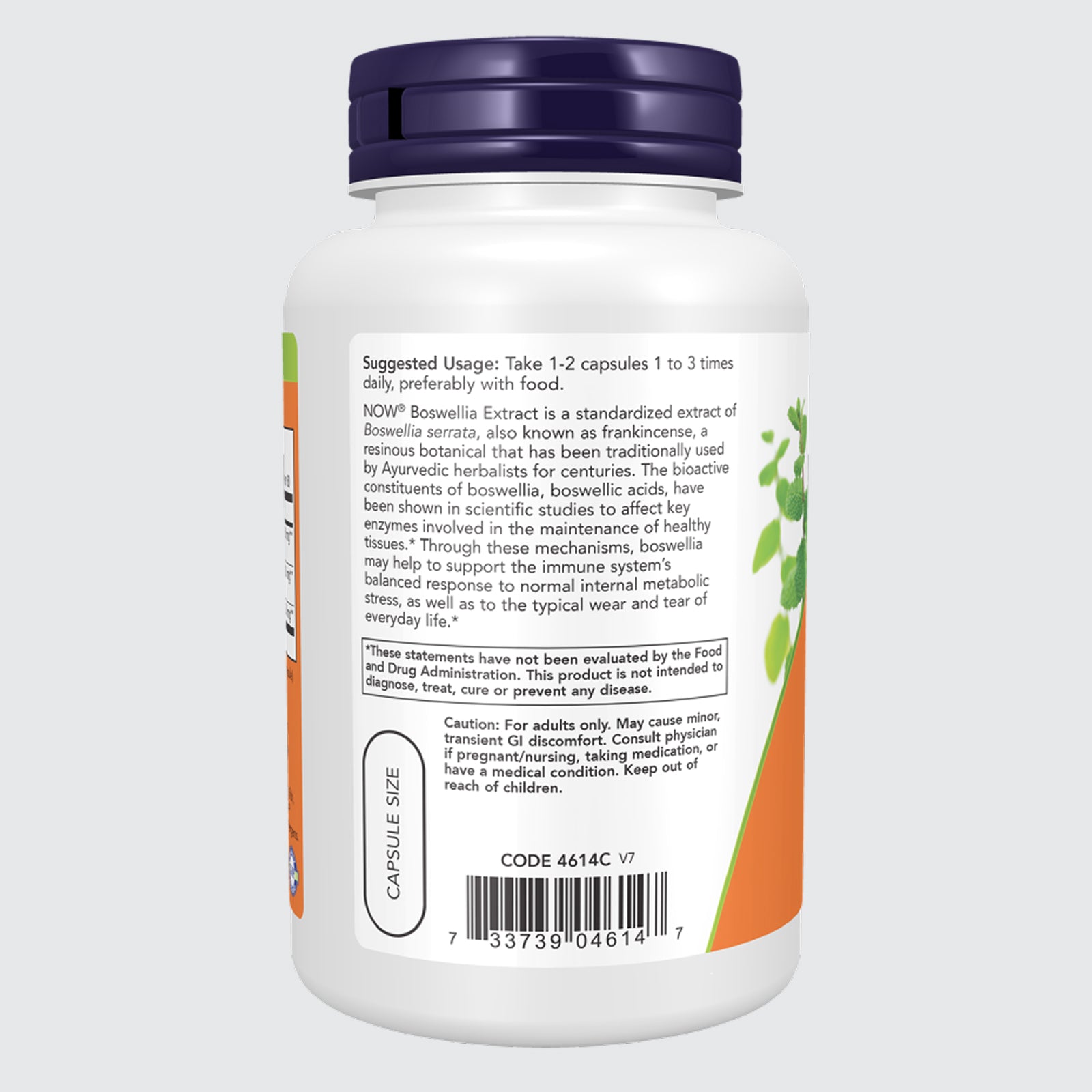 Boswellia Extract 250 mg