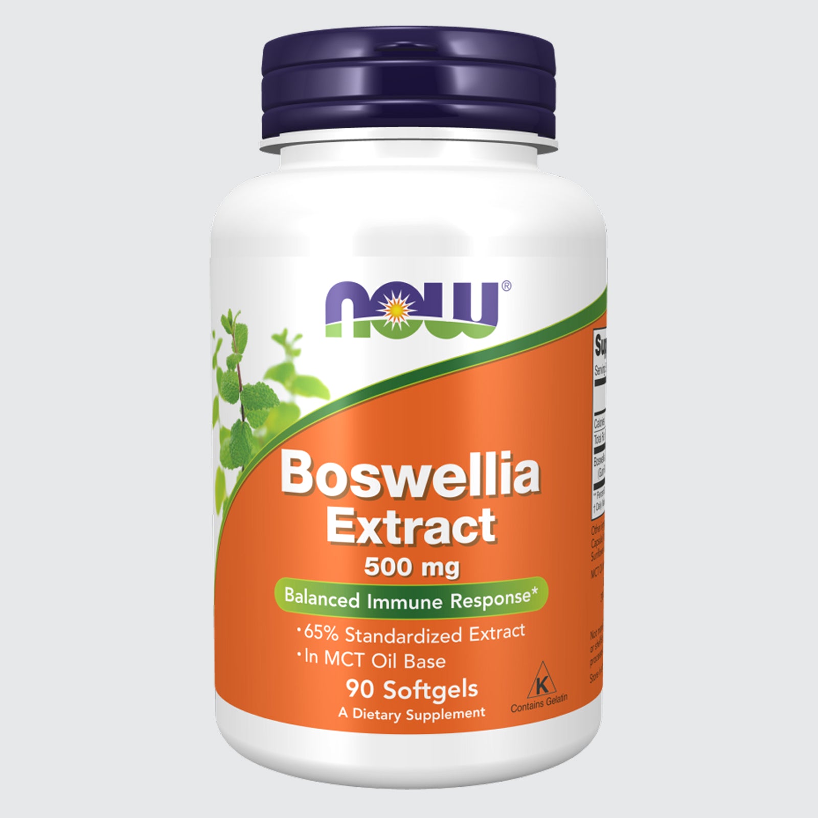 Boswellia Extract 500 mg