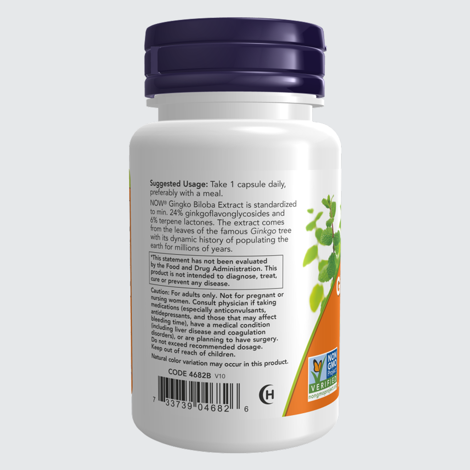 Ginkgo Biloba 60mg