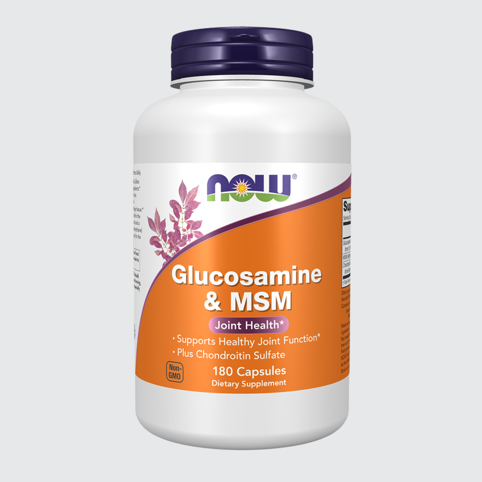 Glucosamine & MSM Vegetarian