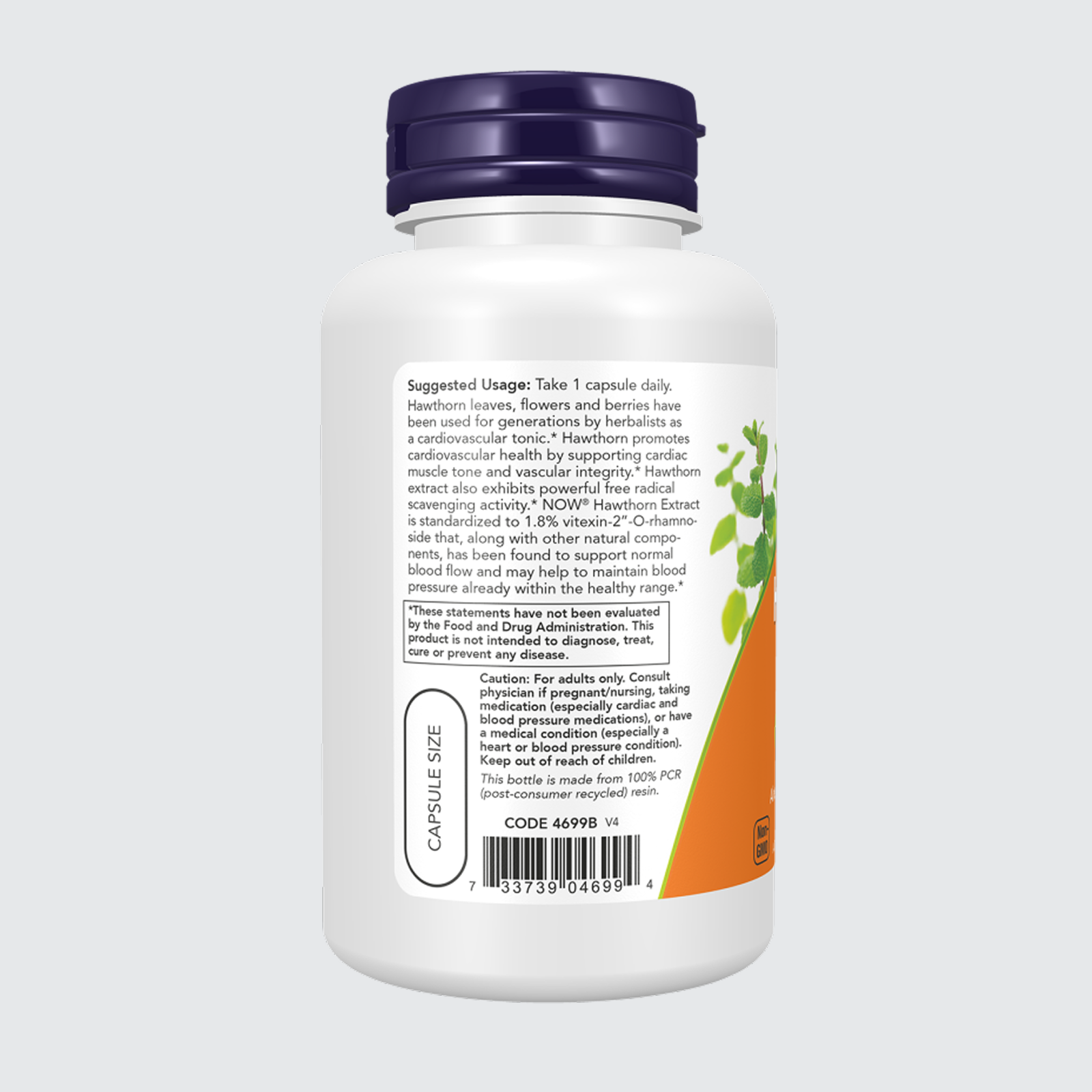 Hawthorn Extract 600 mg, Extra Strength