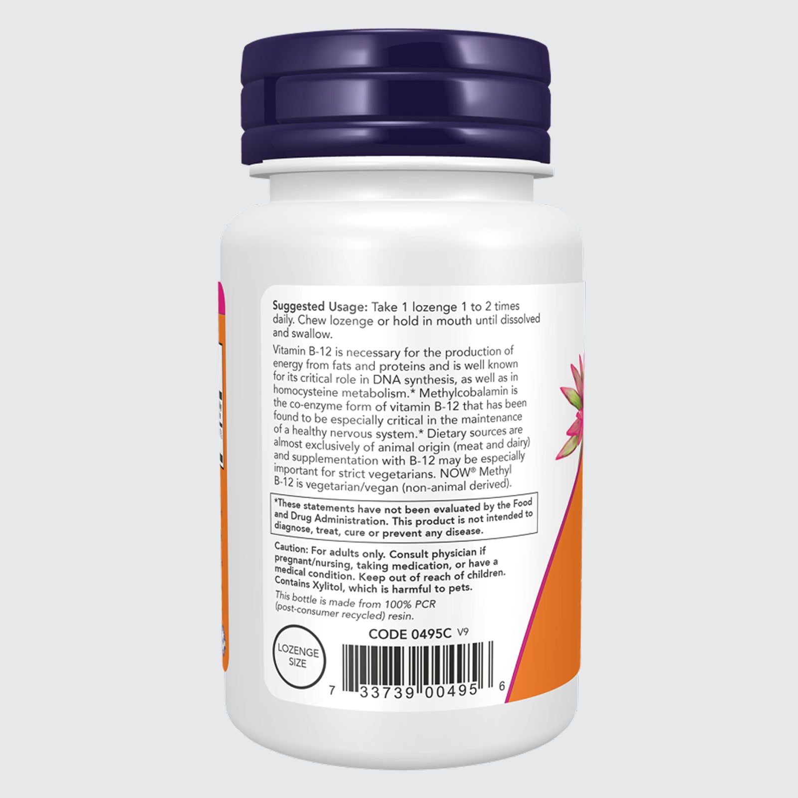 Methyl B-12 - 1000mcg - Nervous Supports